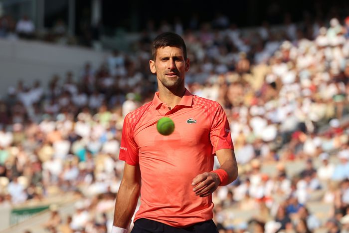 Novak Djokovic outclasses Alcaraz in semifinal match at Roland Garros