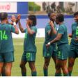 Cameroon coach concedes underdog status
