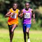Dates for Athletics Kenya 2023/2024 cross-country season announced