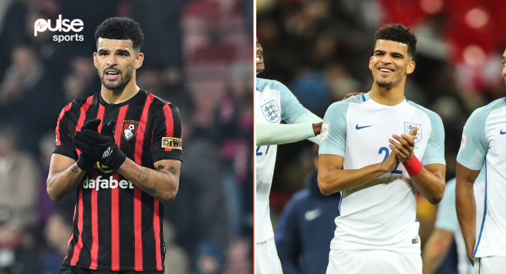 Dominic Solanke: 3 reasons why the Super Eagles should consider the  Bournemouth striker for AFCON - Pulse Sports Nigeria