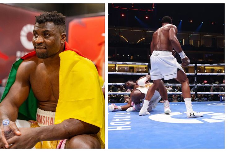 Ngannou said he knew he would lose