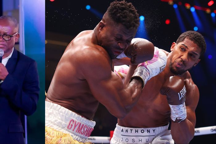See what Nigerian sports Minister has to say about Anthony Joshua for knocking out Francis Ngannou.