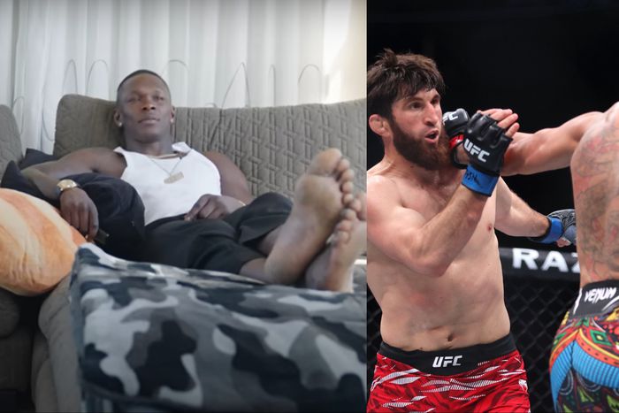 According to Israel Adesanya, Pereira did enough to defeat Ankalaev at UFC 313.