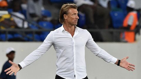 Can we afford his price tag? - Former Super Eagles star questions NFF over Herve Renard