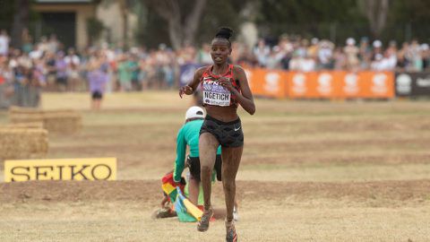 Kenyan youngster breaks world record at Brașov Running Festival in Romania