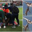 Super Eagles Conquer Africa's Wildlife on Road to AFCON Final
