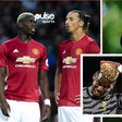 Pogba compares Ibrahimovic with Michael Jordan || Image credit: Imago