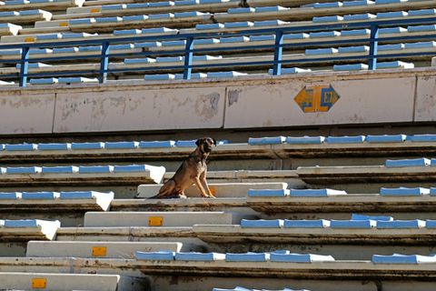 'Call this a pitch?!' -- Lebanon stadiums in sorry state