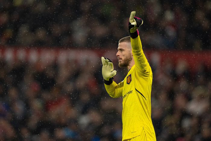 David De Gea Manchester United goalkeeper.