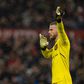 David De Gea Manchester United goalkeeper.