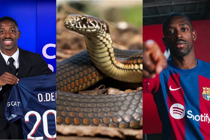 After the completion of the move to PSG, Barcelona fans took to social media to brand Dembele a snake.