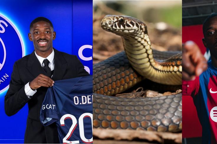 After the completion of the move to PSG, Barcelona fans took to social media to brand Dembele a snake.