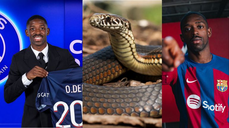 After the completion of the move to PSG, Barcelona fans took to social media to brand Dembele a snake.