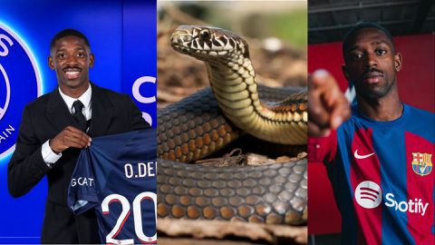 Dembele to PSG: Barcelona fans react as 'Snake' leaves