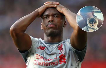 Warrant issued to arrest former Chelsea and Liverpool star Daniel Sturridge over pet dog