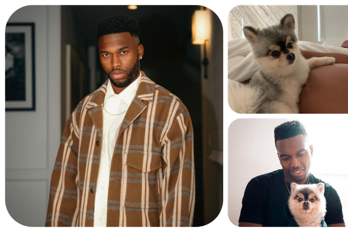 Daniel Sturridge wanted by the police