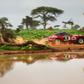 Italy's Eugenio Amos Claims Lead In East African Safari Classic Rally