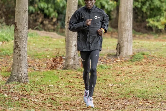 7 things Eliud Kipchoge does in training that have made him the GOAT marathoner