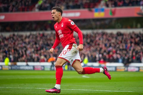 Brennan Johnson to Tottenham Hotspur Transfer News Live Updates