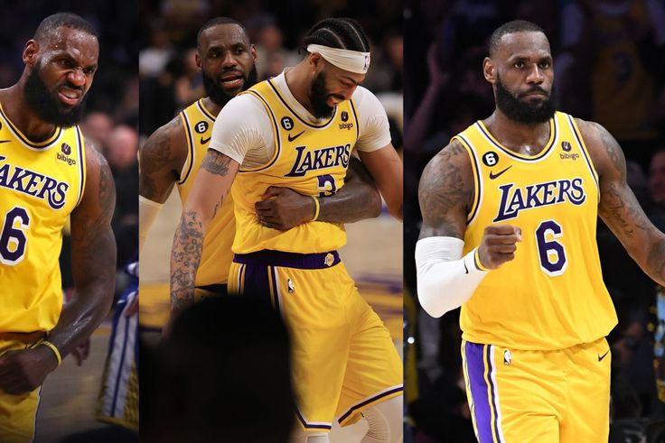 For the Lakers, who in many respects were able to salvage what appeared to be a lost season, it has been a crazy year.
