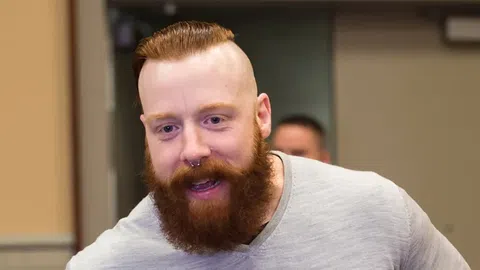 Sheamus WWE Net Worth