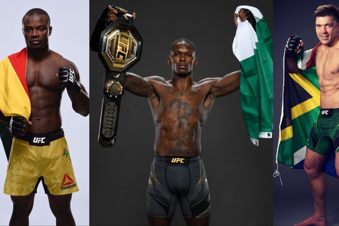 South Africa's Dricus du Plessis is under fire as Nigeria's Israel Adesanya says Olorun he will pay in response to Ghana's Abdul Razak Alhassan ahead of UFC 305.
