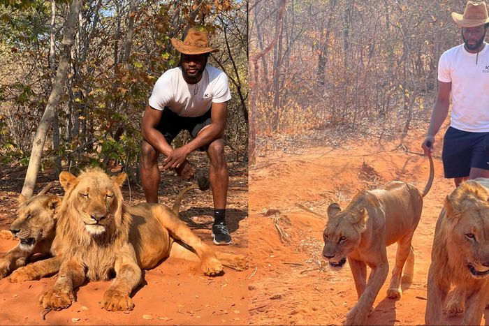 After his renewal with NBA franchise New York Knicks, Nigerian star Precious Achiuwa turns Lion King in Zambia.