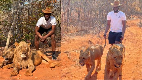 Precious Achiuwa: Nigerian New York Knicks star turns Lion King in Zambia