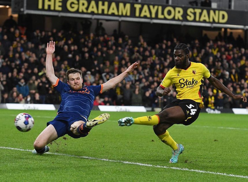 Tobi Adeyemo celebrates debut goal for Watford - Pulse Sports Nigeria