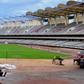 Kasarani Stadium