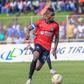 Vipers throw final dice at championship
