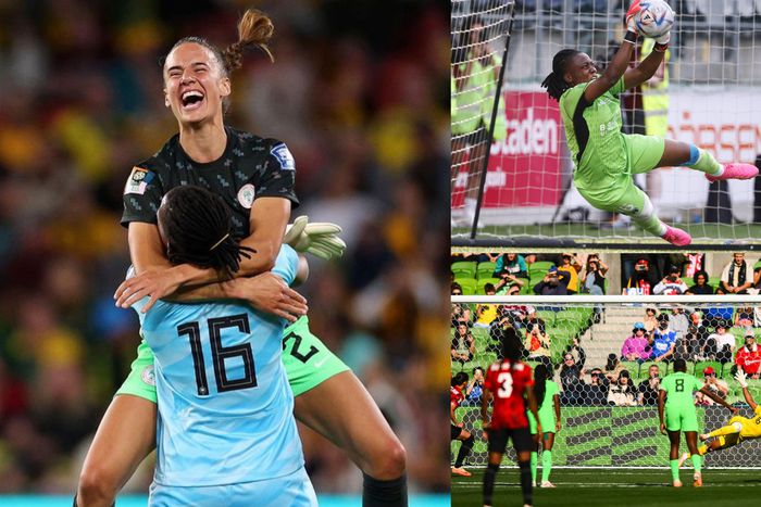 Ashleigh Plumptre laments the absence of Chiamaka Nnadozie among nominees for the FIFA best goalkeeper award