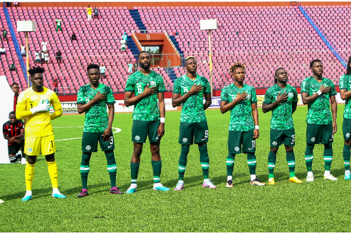 The Super Eagles of Nigeria last won AFCON in 2013 |Pulsesports.ng