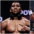Tyson Fury and Anthony Joshua may meet next year.