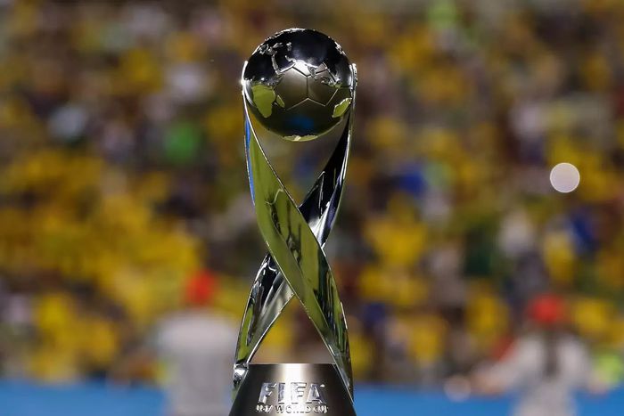 The FIFA U17 World Cup title.