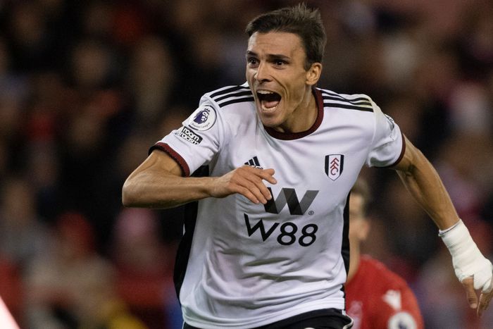 Palhinha has been a star for Fulham since arriving from Portugal