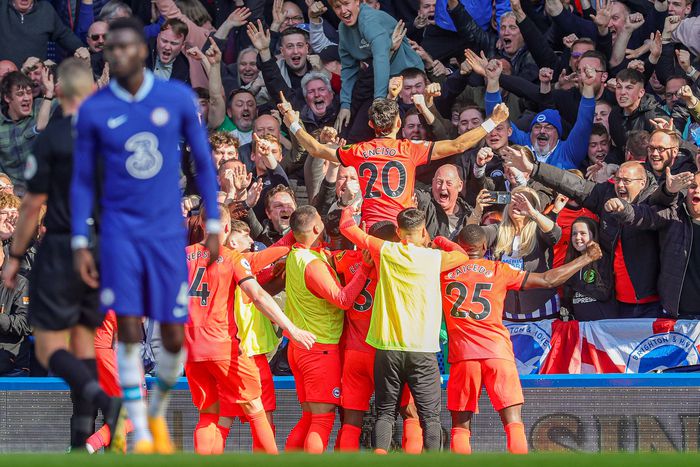 Brighton stunned Chelsea at Stamford Bridge to pile more misery on Lampard