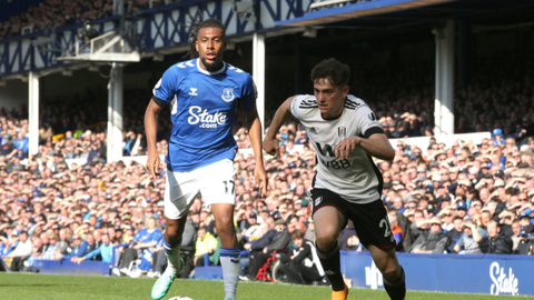 Iwobi in action as Fulham trounce Everton - Pulse Sports Nigeria