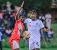 Kitara make history as they eliminate Vipers