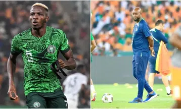 Victor Osimhen vs Finidi George: You are ungrateful - Nigerians blast star striker for social media rant