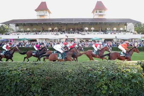 'Renewed Hope' — President Tinubu's horse claims victory in Kaduna