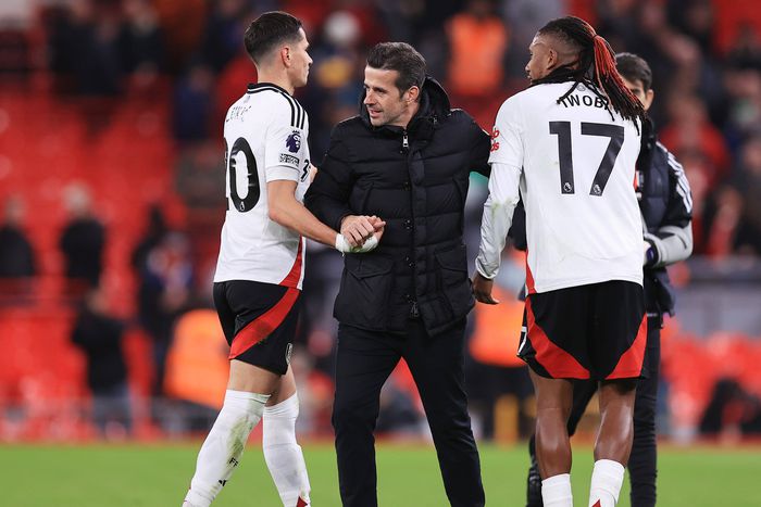 Fulham boss Marco Silva and players Alex Iwobi and Sasa Lukic | Imago