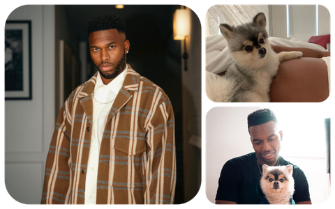 Daniel Sturridge opens up on arrest warrant, slams false claim he owes the man who found his dog a reward