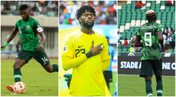 AFCON 2023: Uzoho in goal, and 4 players Peseiro must start to defeat Ivory Coast