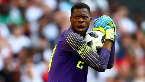 AFCON 2023: My happiness cannot be lost - Francis Uzoho