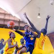 NBL: Panthers' first half display enough to edge JKL Dolphins