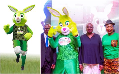 ‘Omo Ogun’ - Meet the mascot for the National Sports Festival
