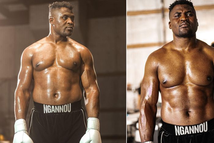 Many others have also been irritated by Ngannou's abrupt departure from the UFC, and he has finally answered with an emotional statement. Instagran=m/Ngannou