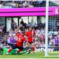 Iwobi and Bassey helps Fulham to a narrow win over Luton Town