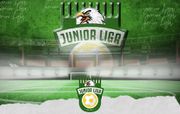 22154172-66be-4cdf-ba68-eb5f159a895b Under-9 stars shine as Nico-led Lagos Tigers, EduFoot claim Supa Liga glory